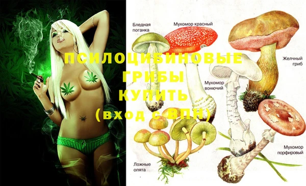 ГАЛЛЮЦИНОГЕННЫЕ ГРИБЫ Арсеньев