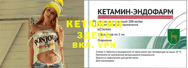 спиды Аркадак