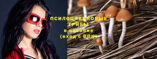 круглые Армянск